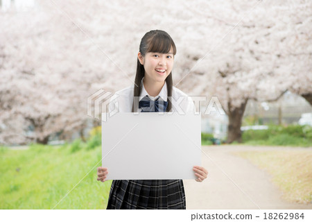 制服的女孩高中學生在站立在盛開的櫻花 18262984