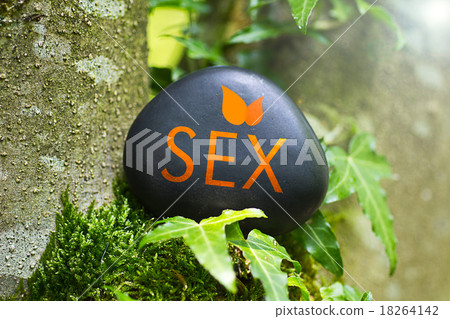 The Word Sex on a stone 18264142