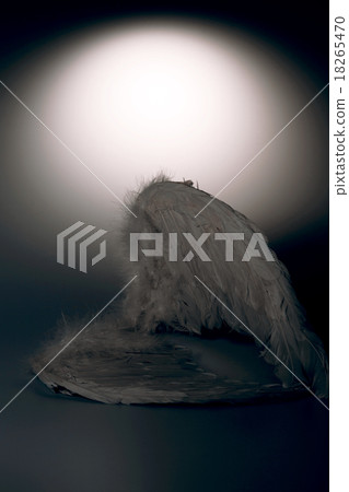 angel's wings on white background with glow angel's wings on white background with glow 18265470