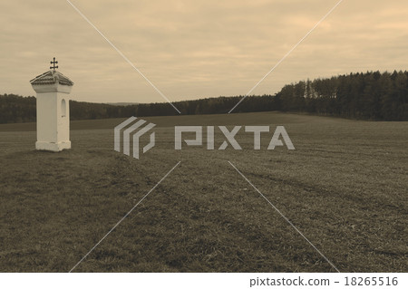 Wayside shrine 18265516