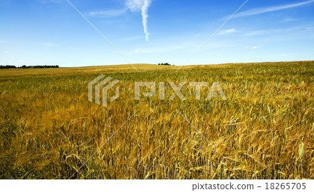 agriculture agriculture 18265705