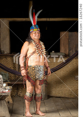 Amazonian Shaman Portrait 18267240