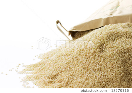 糙米6 糙米6 18270516