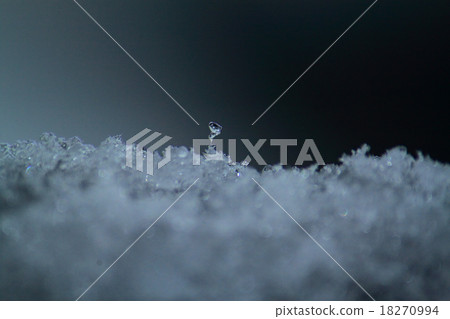 雪粒 18270994