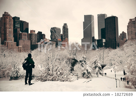 Central Park winter 18272689