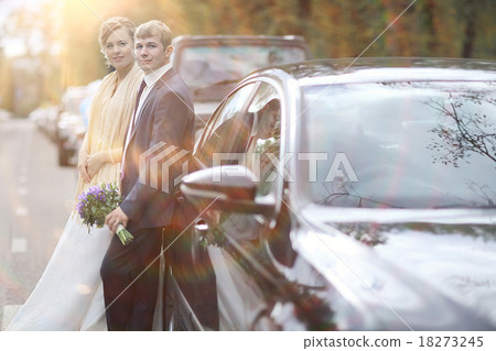 bride in a wedding car 18273245