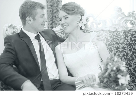 monochrome black and white photo of the wedding the bride and groom portrait 18273439