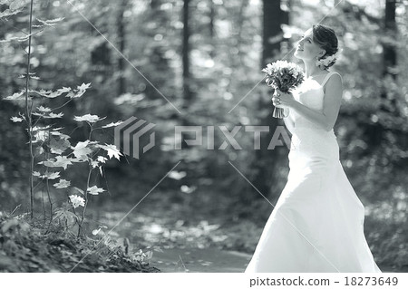 wedding photography concept of family happiness wedding photography concept of family happiness 18273649