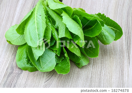 Romano salad leaves Romano salad leaves 18274878