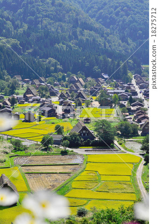 Gifu Prefecture _ Shirakawago 18275712
