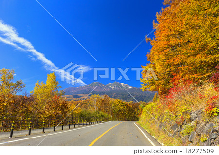 去GO上的Norikura 18277509