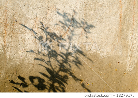 Shadow of the plant on the concrete surface Shadow of the plant on the concrete surface 18279173