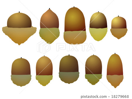 橡子圖標 橡子圖標 18279668