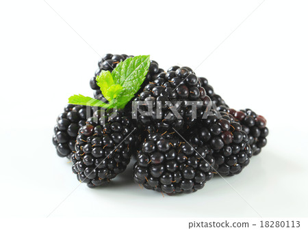 Fresh blackberries Fresh blackberries 18280113
