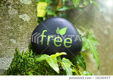 The word free on a stone in nature 18280457