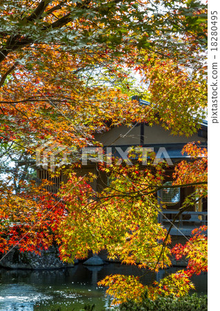 秋葉日本庭院 秋葉日本庭院 18280495