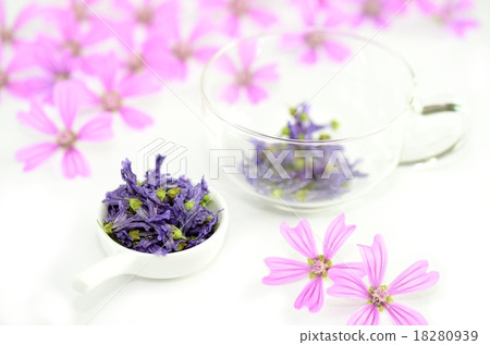 Herbs 18280939