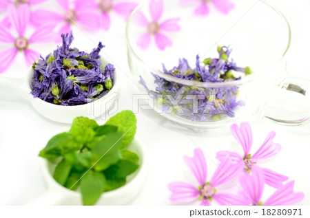 Herbs 18280971
