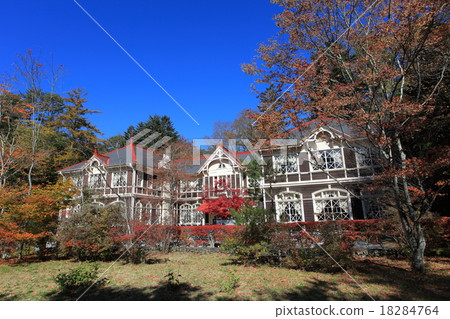 The old autumn leaves of Mikasa 18284764