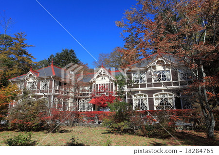 Mikasa老秋葉 18284765