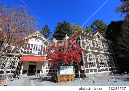 The old autumn leaves of Mikasa 18284767