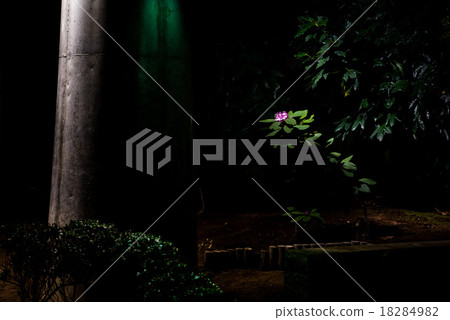 一隻黑暗的狗 18284982