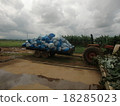 Banana Farmer 18285023