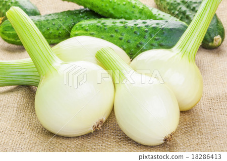 Fresh organic onions with cucumbers on the back Fresh organic onions with cucumbers on the back 18286413