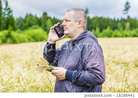 Farmer talking on cell phone near cereal field  18286441
