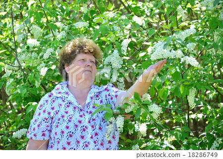 Pensive elderly woman in  spring nature with cherry flowers 18286749