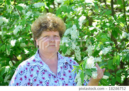 Pensive elderly woman in  spring nature with cherry flowers 18286752