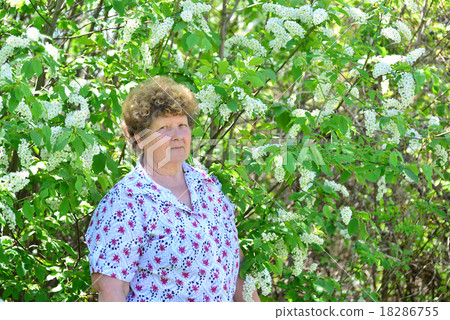 Pensive elderly woman in  spring nature with cherry flowers 18286755