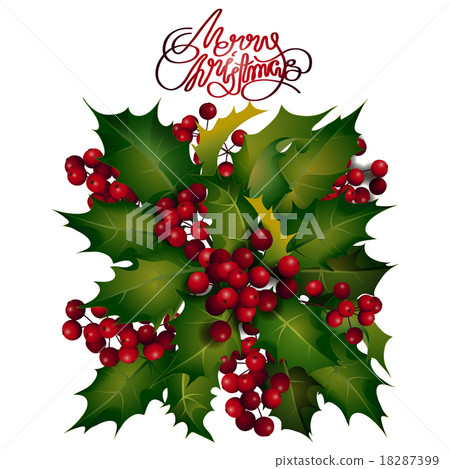 Holly berries design Holly berries design 18287399