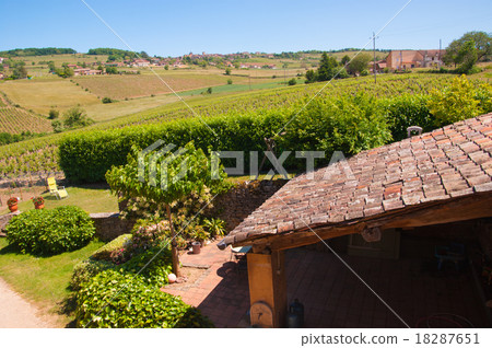 golden stone Beaujolais Village golden stone Beaujolais Village 18287651