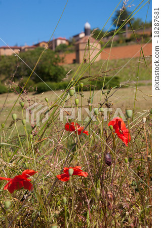 golden stone Beaujolais Village 18287681