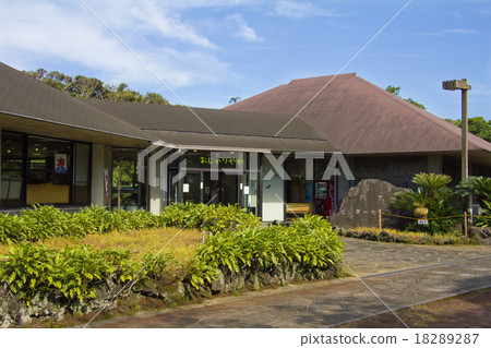 Hachijo botanical park Hachijojima Hachijo botanical park Hachijojima 18289287