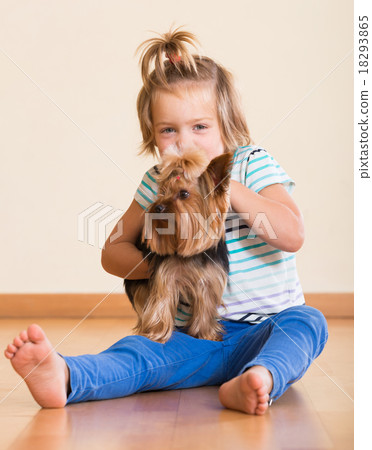 Cute little girl with yorkshire terrier indoor Cute little girl with yorkshire terrier indoor 18293865