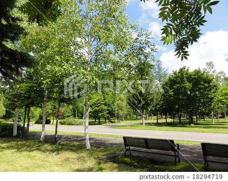 Summer greens and benches in Hokkaido 18294719