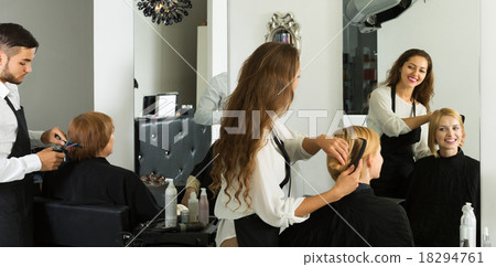 Hairdresser doing hairstyle 18294761