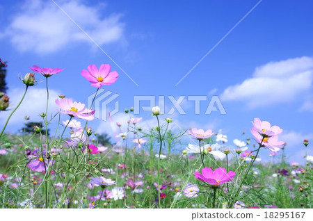 秋天的天空和宇宙 18295167