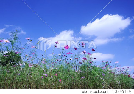 秋天的天空和宇宙 18295169