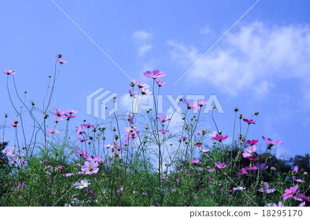 秋天的天空和宇宙 18295170