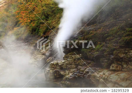 Autumn leaves of Konan gorge Autumn leaves of Konan gorge 18295329