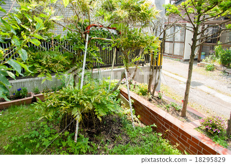 Fujiwood wrapping around a broken swing 18295829