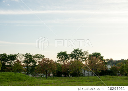 晚上公園 晚上公園 18295931