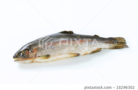 Fresh trout 18296302
