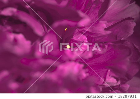 Abstract beautiful gentle spring flower background Abstract beautiful gentle spring flower background 18297931