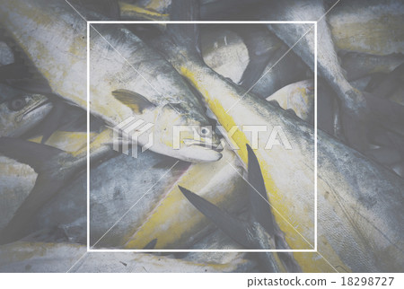 Frame Copy Space Square Border Rectangle Concept 18298727