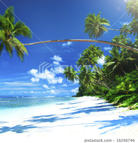 圖庫照片: tropical beach travel holiday vacation leisure nature