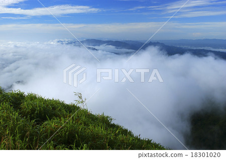 Morning Fog 18301020